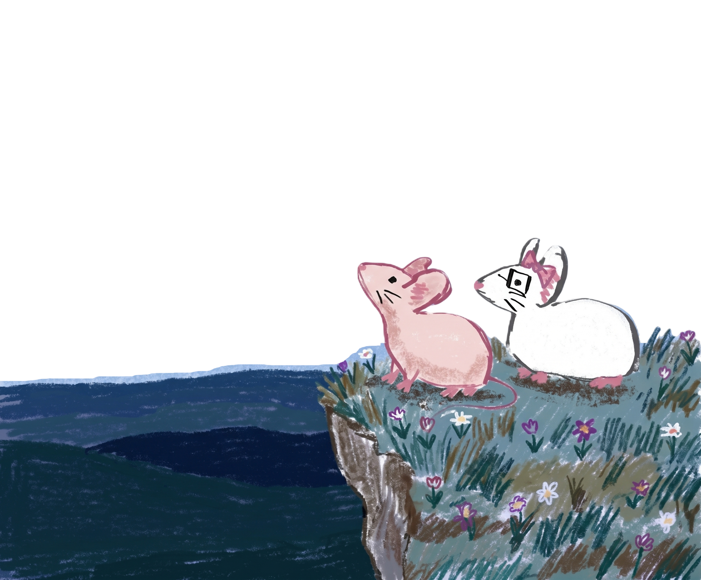 Nosotros mirando las estrellas